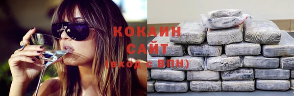 ECSTASY Богданович