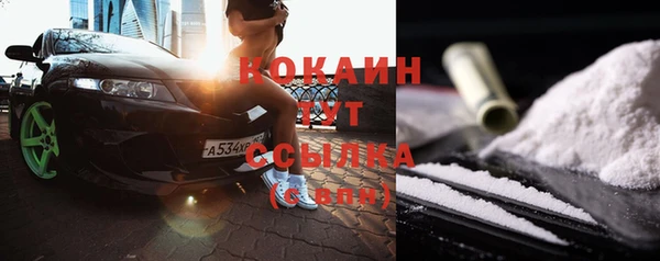 ECSTASY Богданович