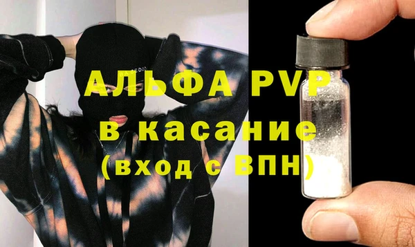 ECSTASY Богданович