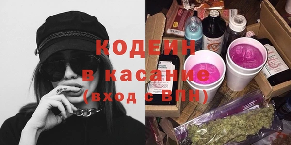 ECSTASY Богданович