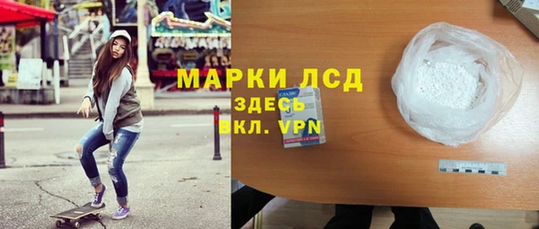 ECSTASY Богданович