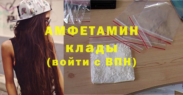 spice Богородск