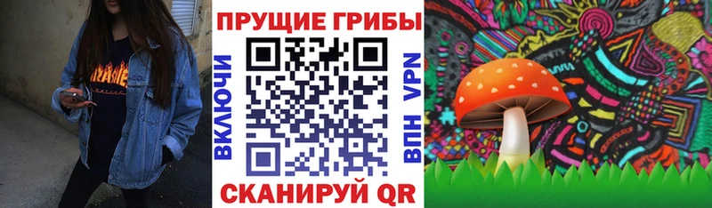 Галлюциногенные грибы Psilocybe  Химки 